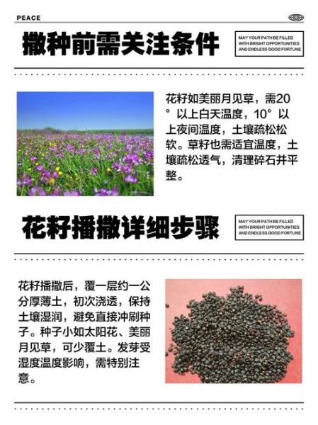 艺术的种子是什么_如何播撒艺术的种子