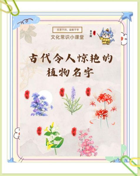 古代花名大全_古人如何取花名