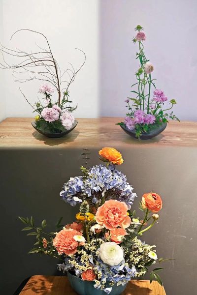 艺术之花是什么_艺术之花如何养护