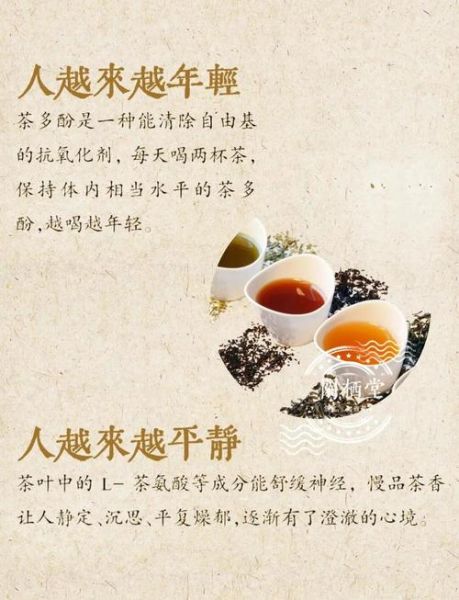 喝茶对身体有什么好处_长期喝茶会伤胃吗