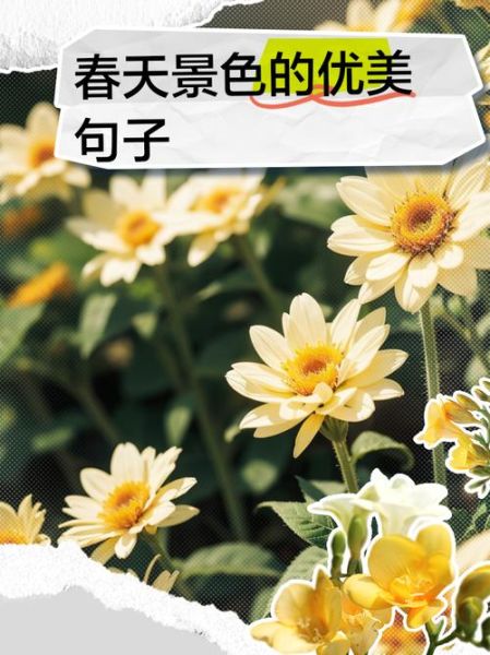 春天生活文案句子简短_怎么写才高级
