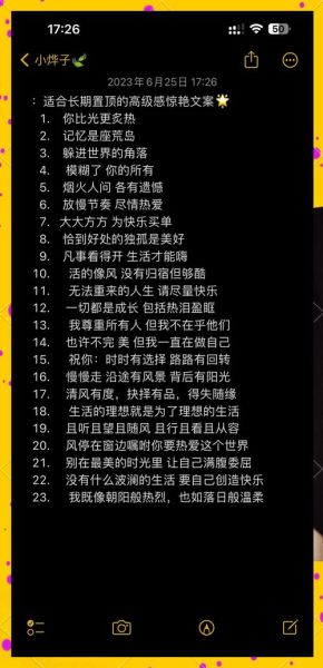 如何写出高级感文案_艺术句子怎么写