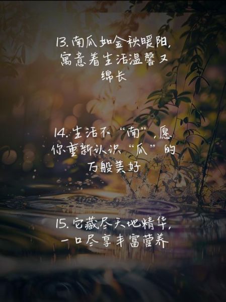 南瓜艺术文案怎么写_南瓜主题文案灵感