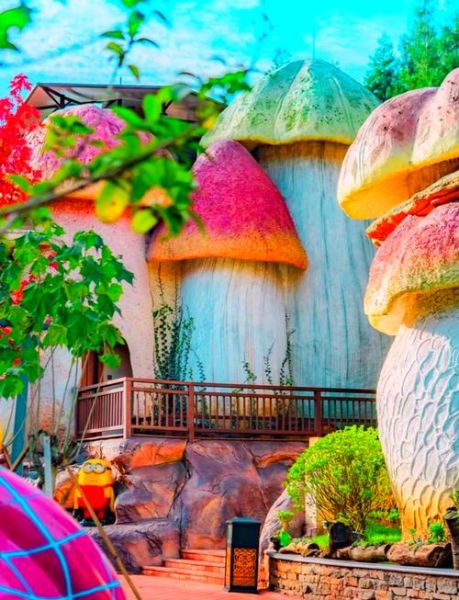 艺术蘑菇屋怎么设计_艺术蘑菇屋装修预算