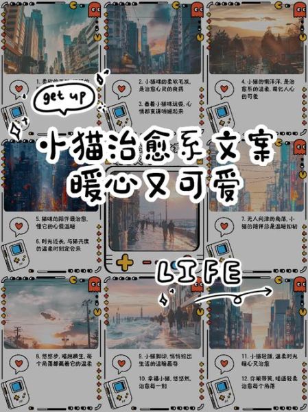 猫猫文案怎么写_猫咪治愈文案有哪些