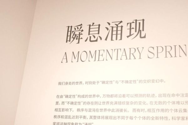 什么是发现艺术_如何开始发现艺术之旅