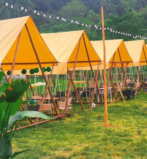 艺术农场是什么_艺术农场怎么玩