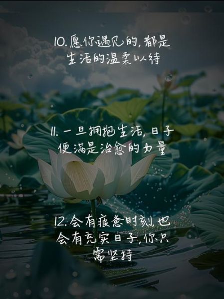 有在努力生活文案怎么写_如何写出治愈系文案