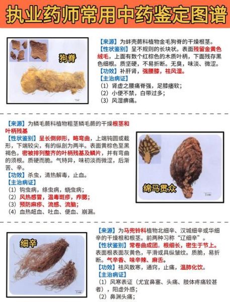 古代药材名称有哪些_如何辨别真伪