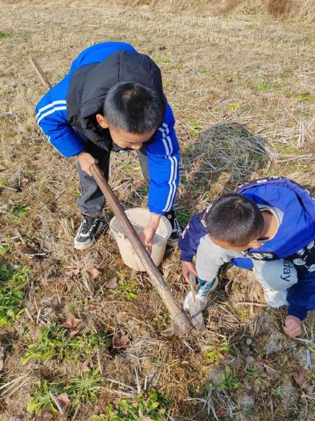 小孩子回村生活好吗_回村生活注意事项