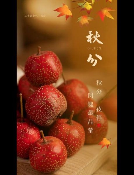 秋分艺术文案怎么写_秋分节气文案灵感