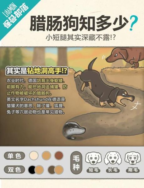 香肠起源是什么_香肠历史大全