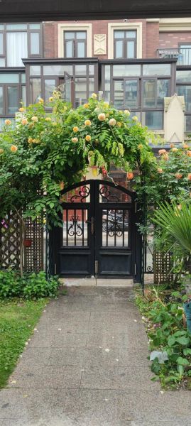 小院子怎么布置_小院子适合种什么花