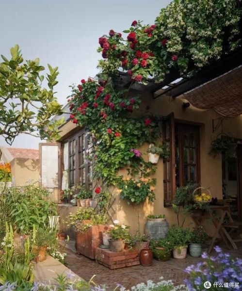 小院子怎么布置_小院子适合种什么花