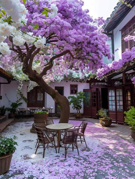 小院子怎么布置_小院子适合种什么花