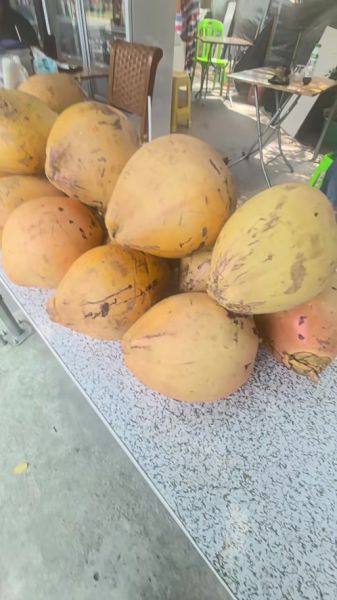 椰满分生物科技怎么样_椰满分产品功效真的好吗