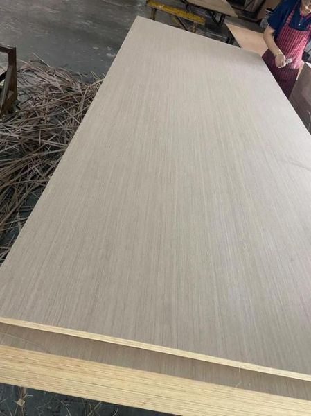 国外木材黑科技产品有哪些_木材黑科技真的环保吗