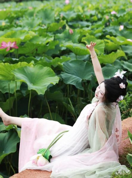 荷花艺术写真怎么拍_荷花写真拍摄技巧