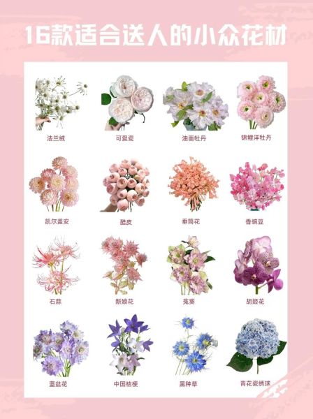 鲜花如何挑选_鲜花怎么搭配