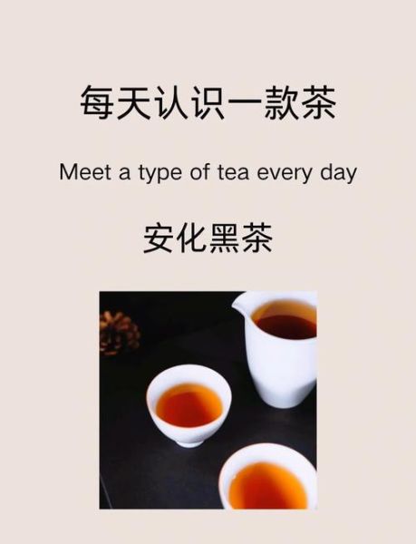 安化黑茶起源_安化历史大事记