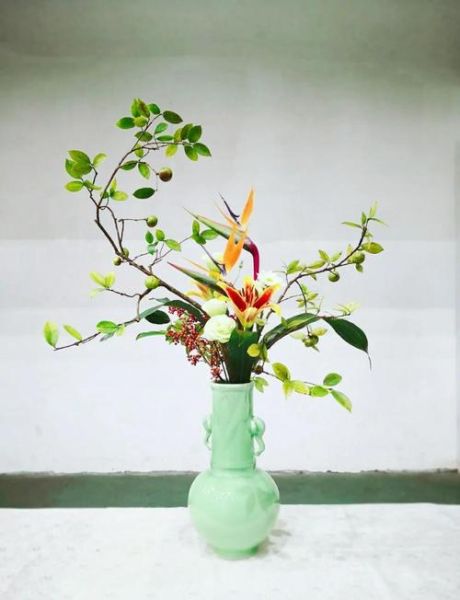 插花艺术入门_如何打造唯美插花