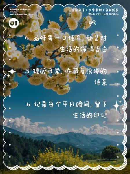 如何记录生活_分享生活文案怎么写