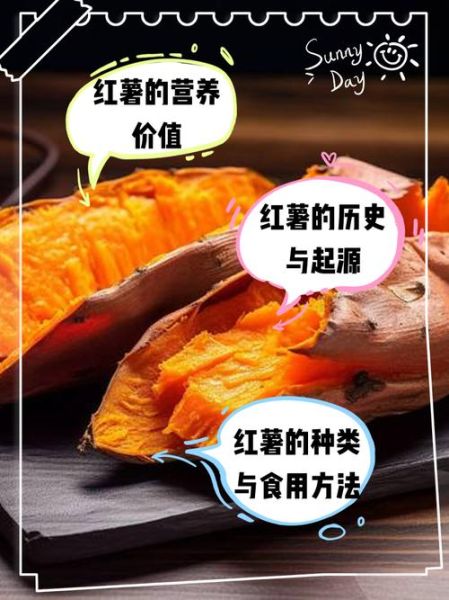 红薯历史大全_红薯起源与发展
