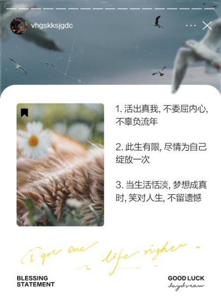 生活是自己的_如何活出自我