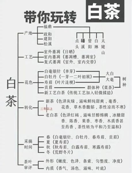白茶历史大全_白茶起源与演变