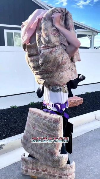 奇葩艺术是什么_如何欣赏奇葩艺术