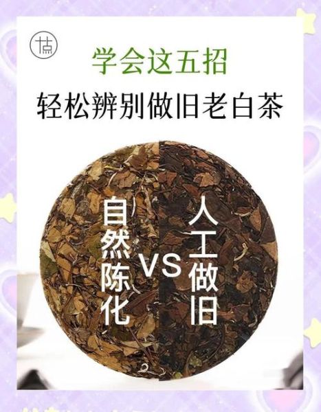 历史名茶图片大全_如何辨别真假老茶