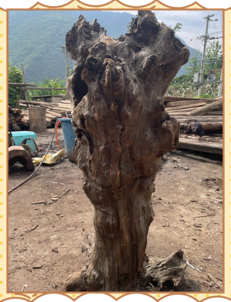 自然艺术木头是什么_自然艺术木头怎么选