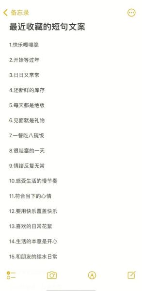 如何记录生活文案_记录生活文案怎么写