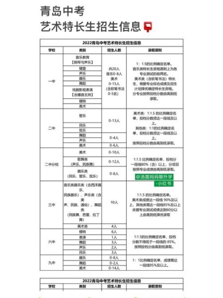 艺术加分有哪些项目_如何准备艺术特长生考试