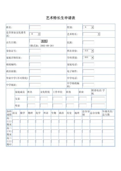 艺术加分有哪些项目_如何准备艺术特长生考试