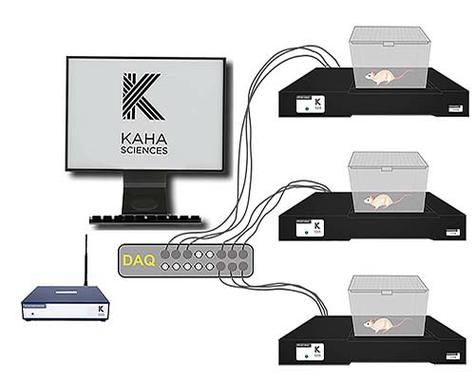 哲友科技产品怎么样_哲友科技官网入口在哪