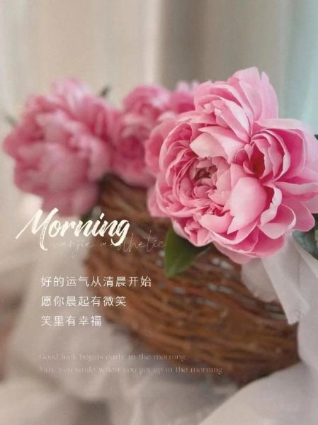 早上发什么早安文案_朋友圈怎么写才高级