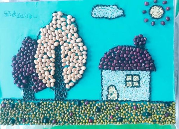 艺术种子怎么种_艺术种子适合什么土壤