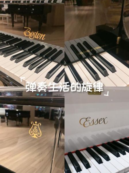 自由音乐艺术是什么_如何入门自由音乐创作