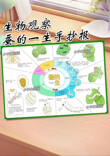 蚕宝宝艺术文案怎么写_蚕宝宝艺术文案有哪些创意