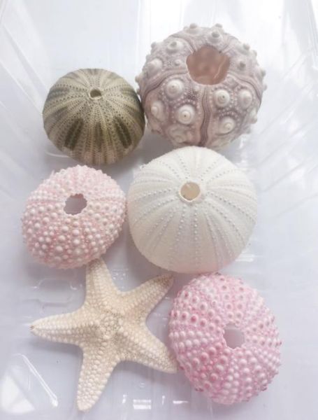 如何自制简易智能夜灯_科技小制作需要哪些材料