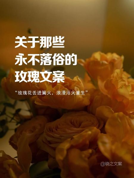 玫瑰艺术文案怎么写_玫瑰文案如何打动人心