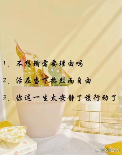 如何面对生活的馈赠_生活的馈赠到底是什么