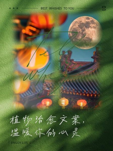 绿叶文案生活_如何写出治愈系文案