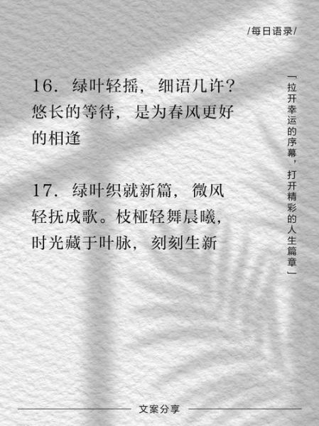 绿叶文案生活_如何写出治愈系文案