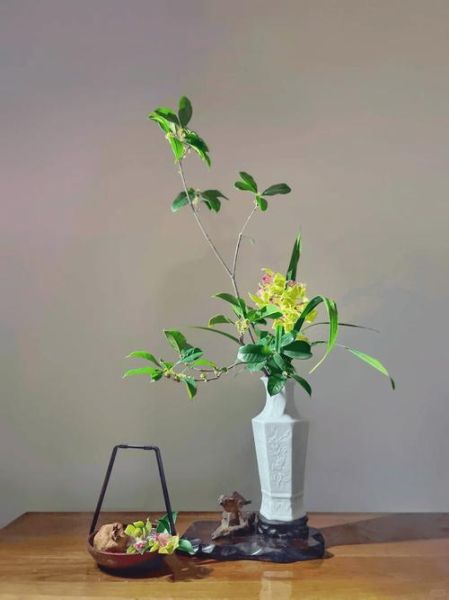 艺术插花怎么选花材_艺术插花适合放哪里