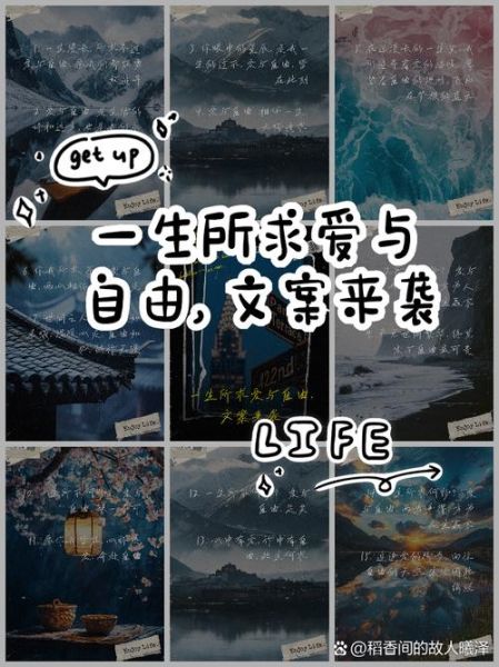 什么是生活生命自由爱_如何活出自由与爱