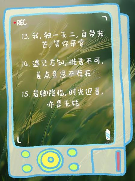 生活账号简介怎么写_生活类账号简介文案模板