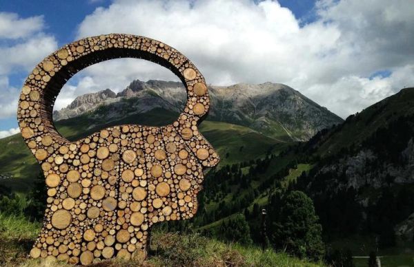 自然的艺术是什么_自然的艺术如何欣赏