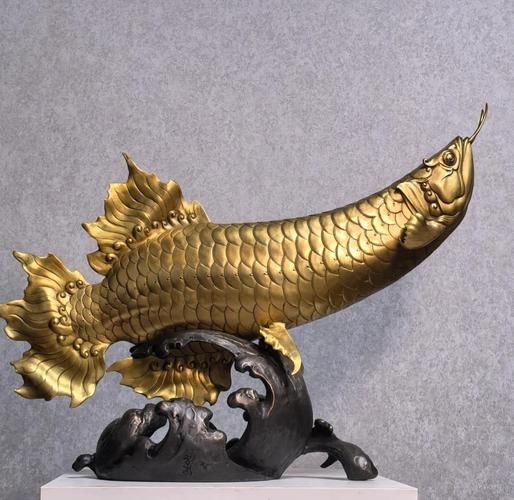 艺术鱼怎么样_艺术鱼值得买吗